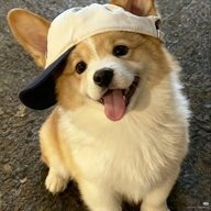 tnthnh00