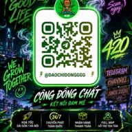 Đồng Chí Đao