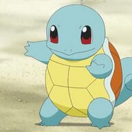 Turtle Diary