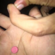 fickdem