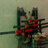mrd_dner