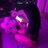 LINSY k6